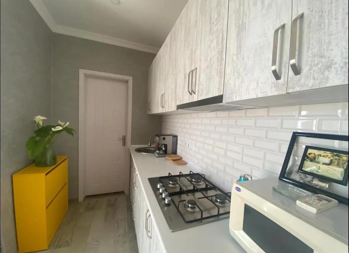 Sunny Apartment Batumi Georgia
